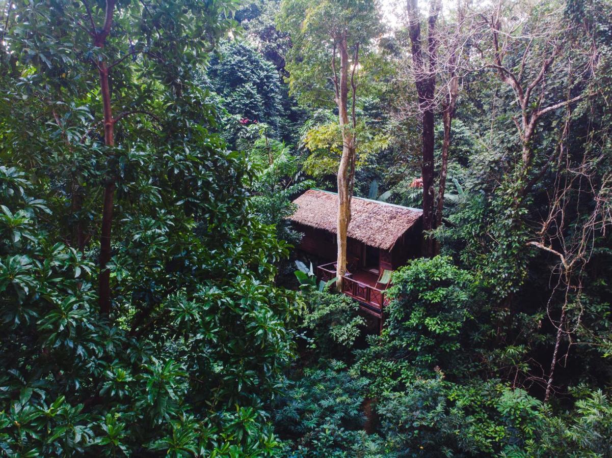 Our Jungle House Hotel Khao Sok National Park Luaran gambar