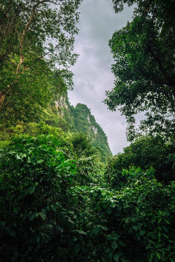 Our Jungle House Hotel Khao Sok National Park Luaran gambar