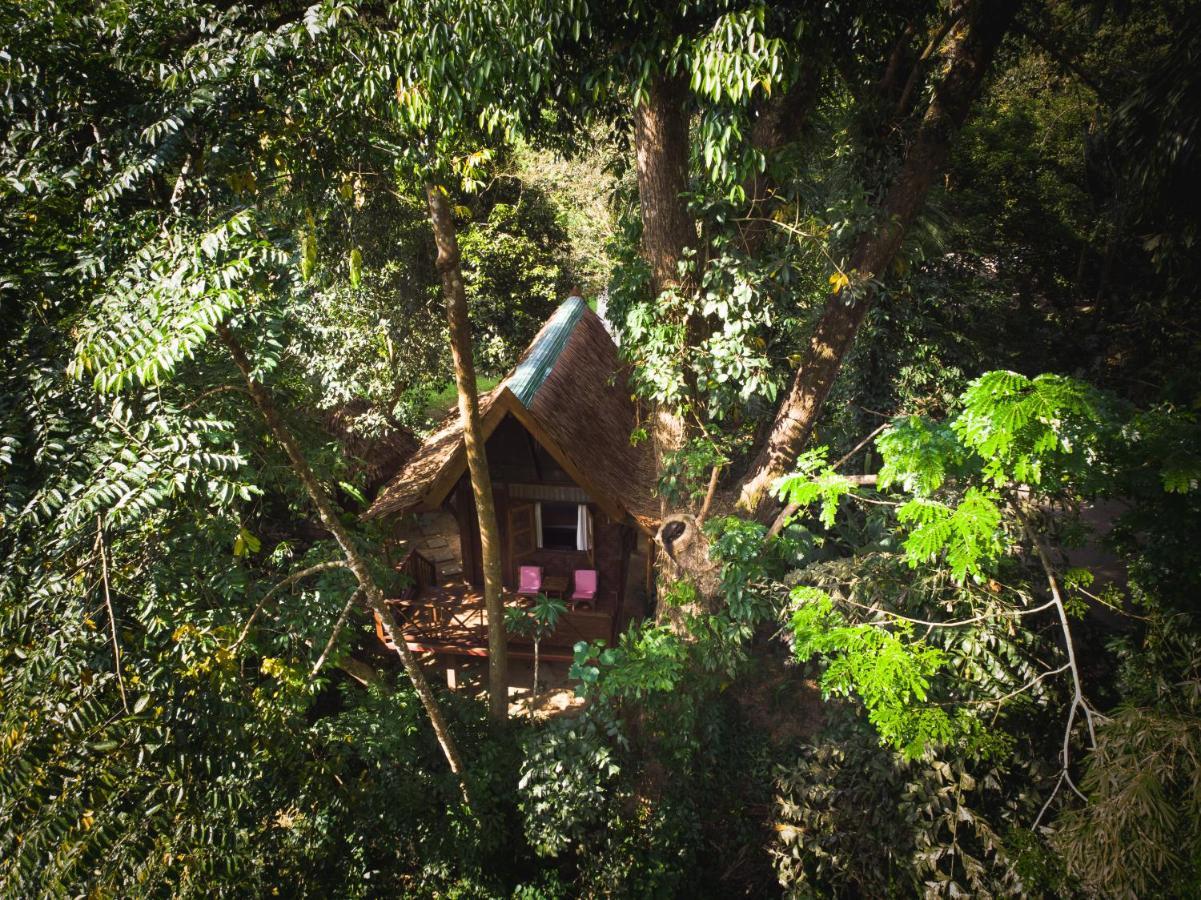 Our Jungle House Hotel Khao Sok National Park Luaran gambar