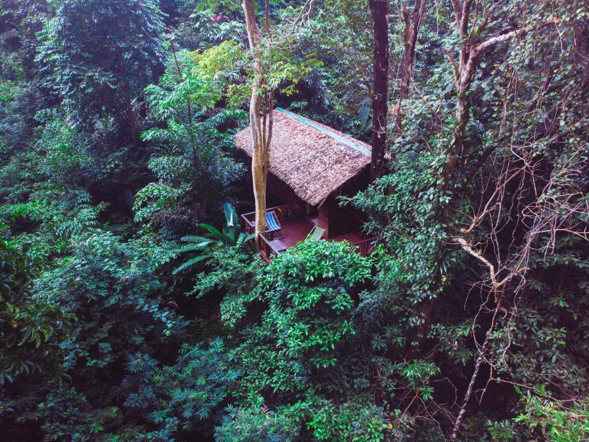 Our Jungle House Hotel Khao Sok National Park Luaran gambar