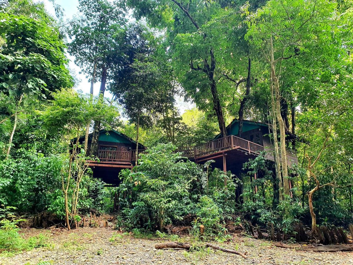 Our Jungle House Hotel Khao Sok National Park Luaran gambar