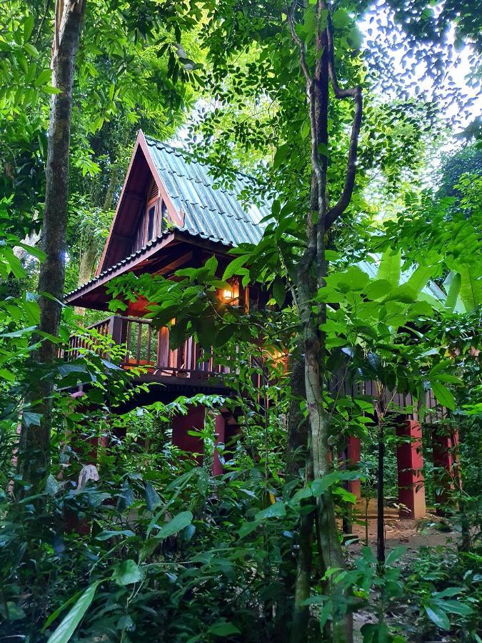 Our Jungle House Hotel Khao Sok National Park Luaran gambar