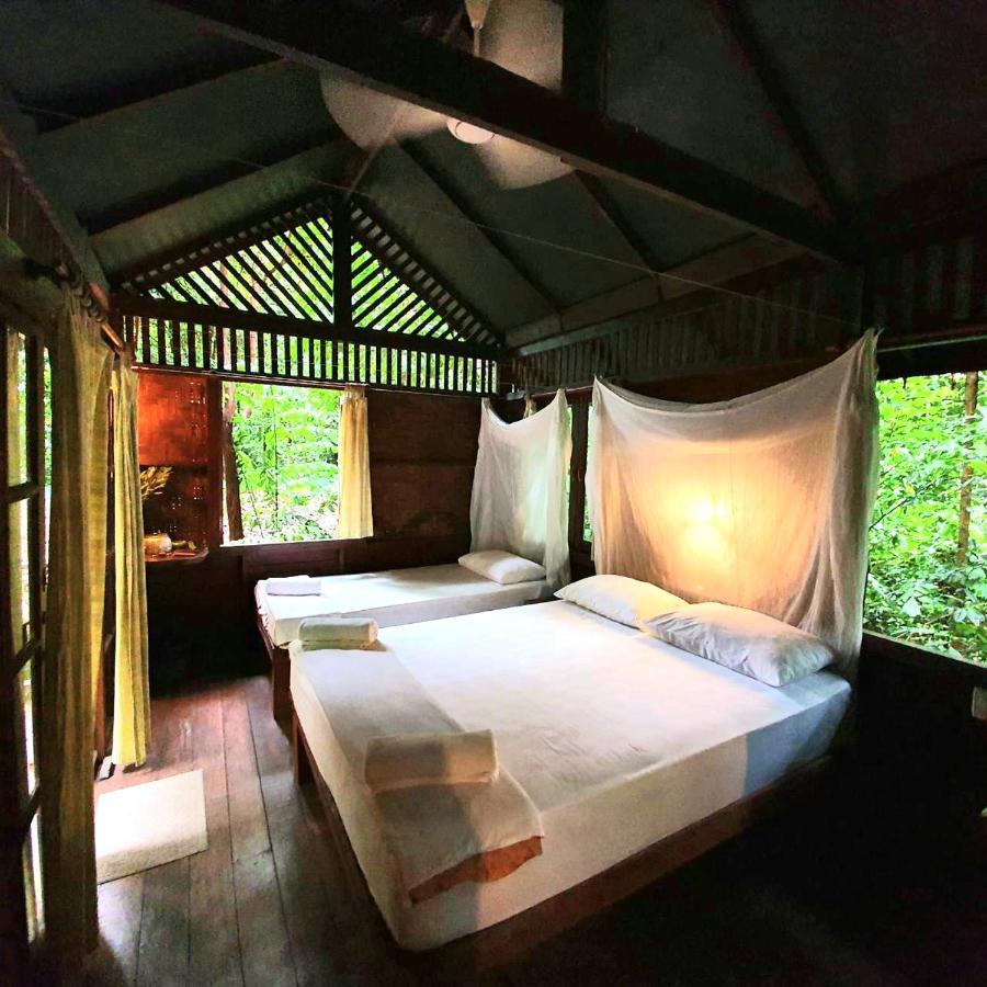 Our Jungle House Hotel Khao Sok National Park Luaran gambar