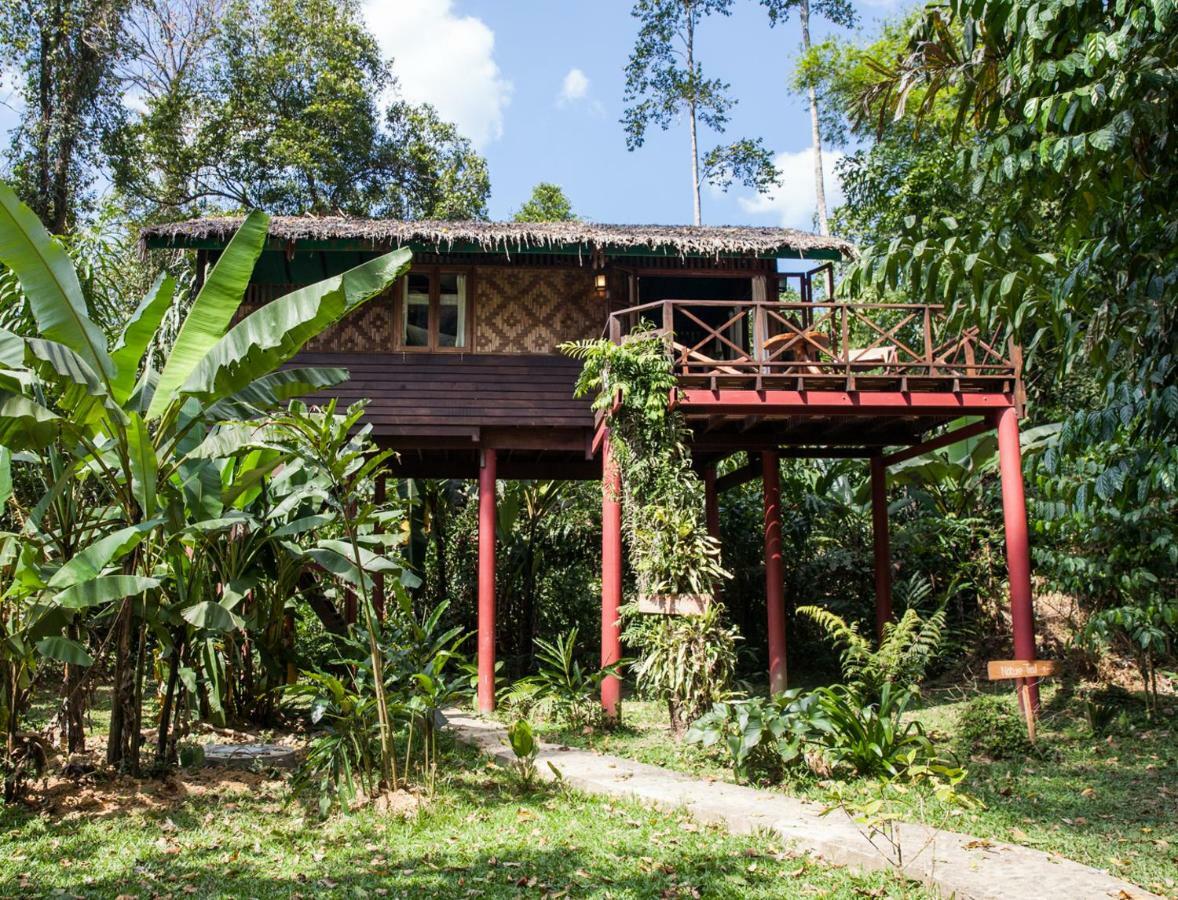 Our Jungle House Hotel Khao Sok National Park Luaran gambar